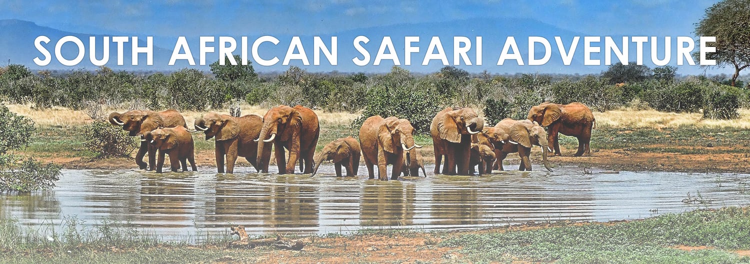 South African Safari Adventure with Swain Destinations