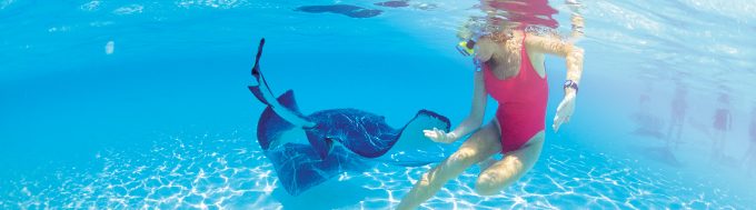 onboard-credit-excursions-snorkeling-with-stingrays