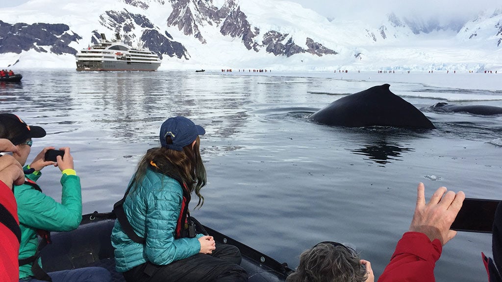 Antarctica-Whale-Zodiac-Kids-2