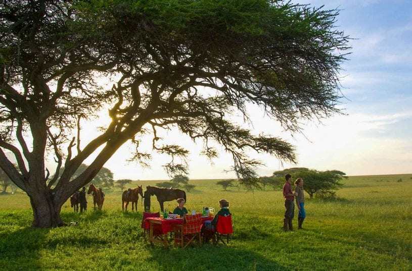 private-safari-group-815x537