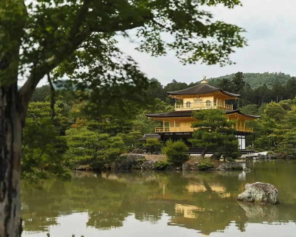 069e79202eb375f675c563dc15eeb16fd3d55d40-10456x8365