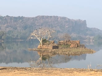Ranthambore India