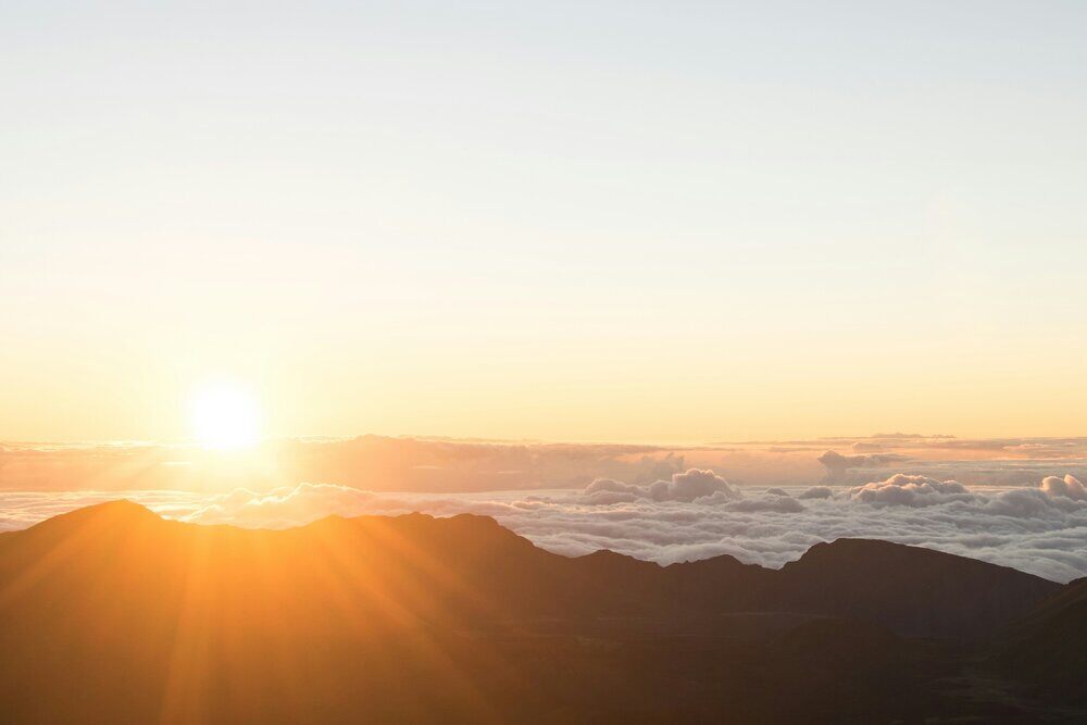 alice-donovan-rouse-UweNcthlmDc-unsplash-1