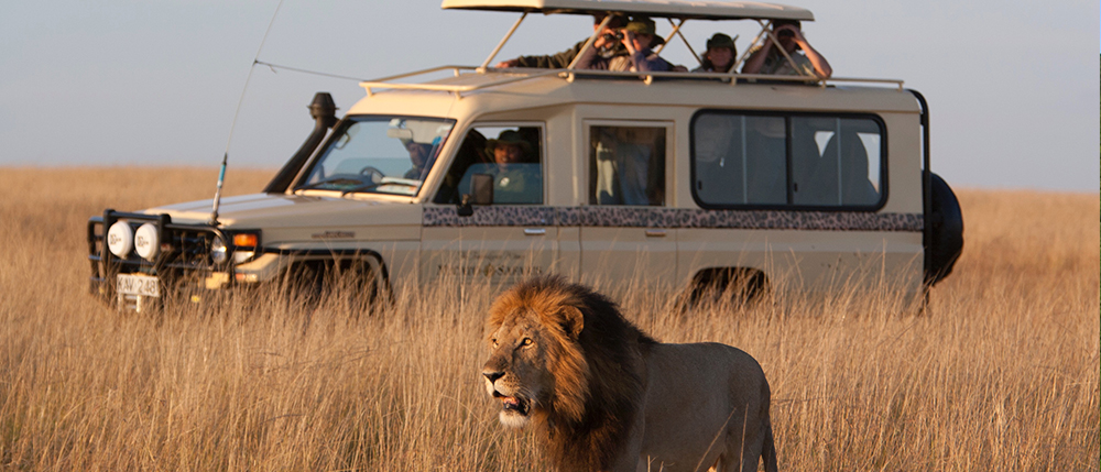 Visit Every Continent - Africa Micato Safari