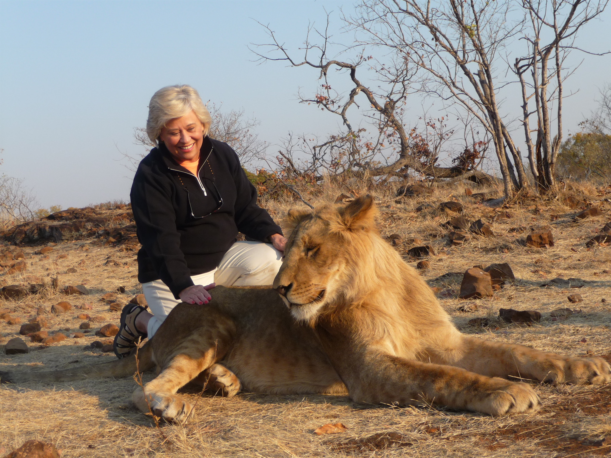 Linda Raymer - Africa Safari