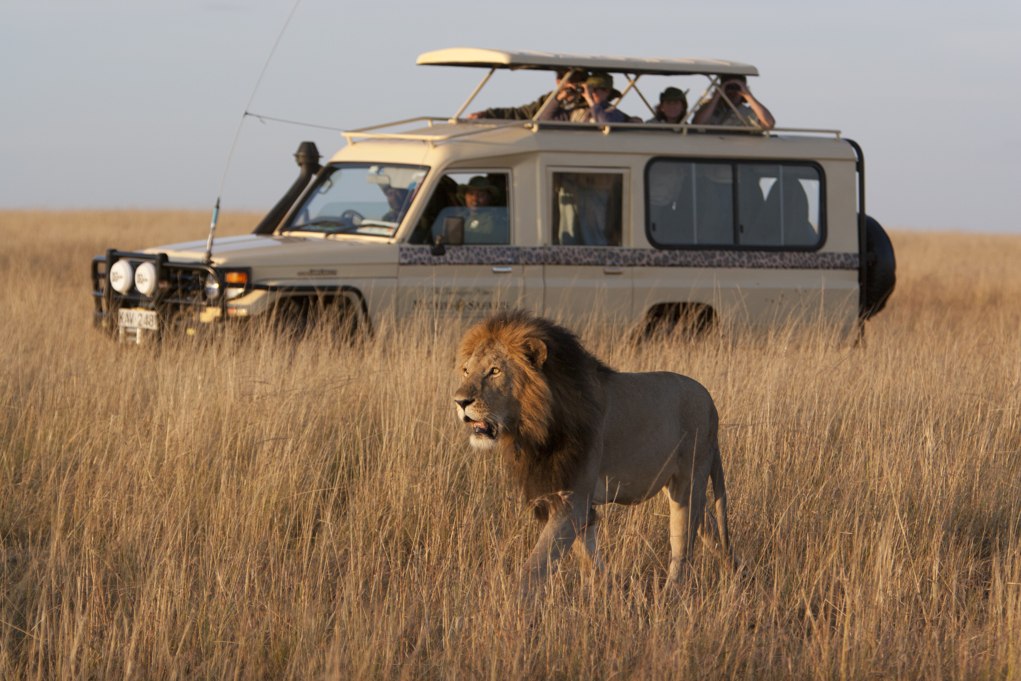 Mica to Safaris - Africa