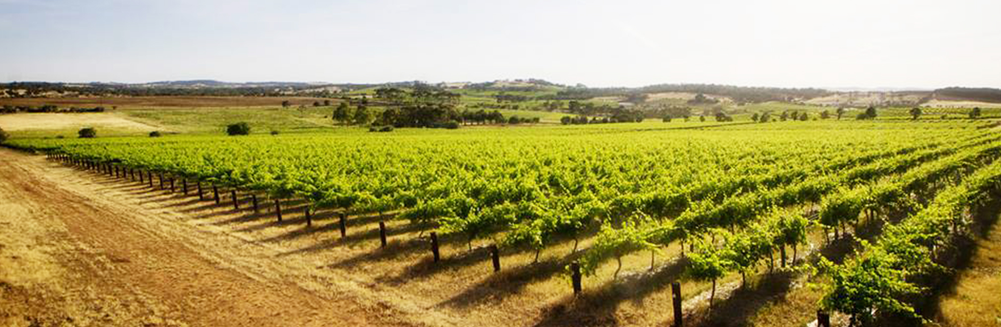 Two Hands Wines - Barossa Valley - Australia