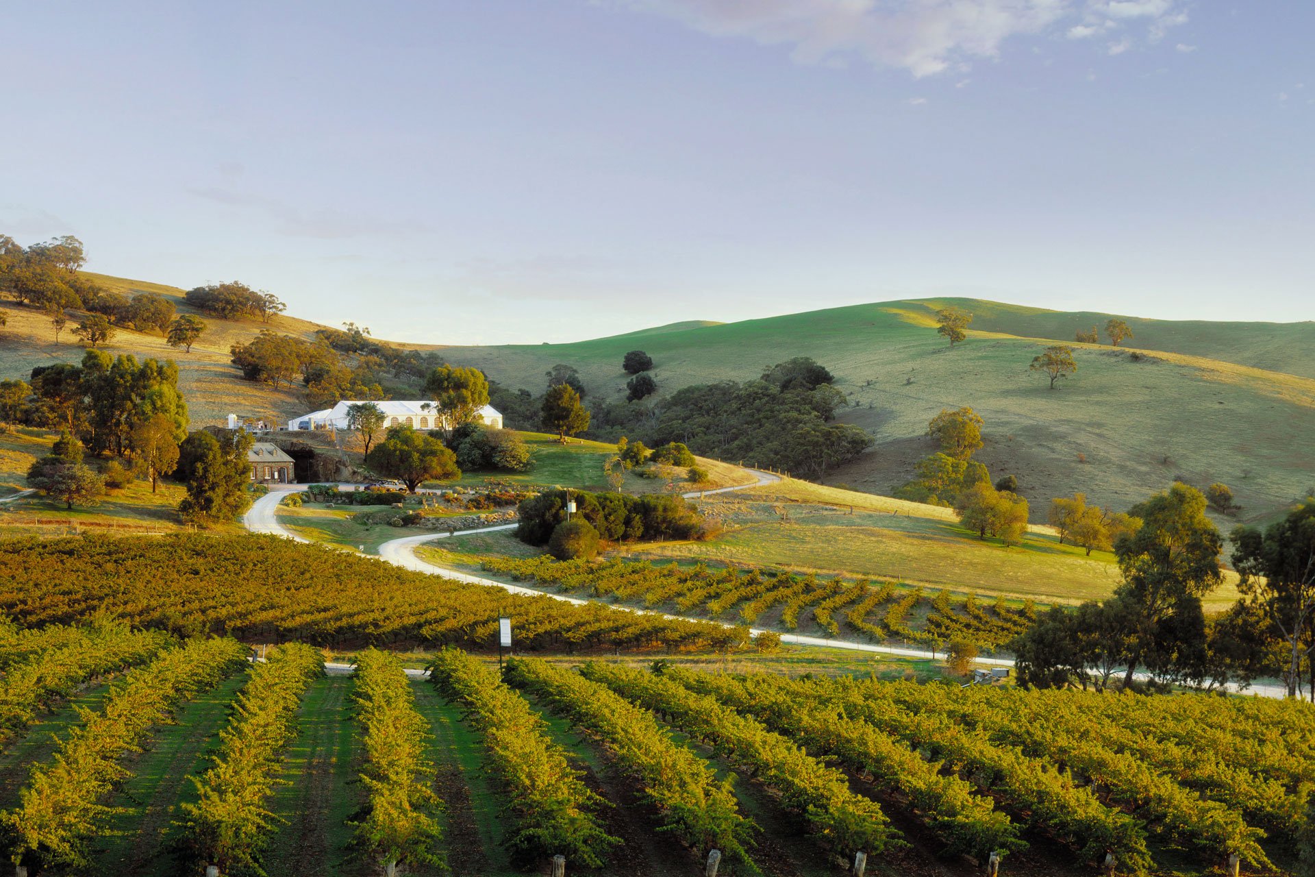 Barossa Valley - Australia