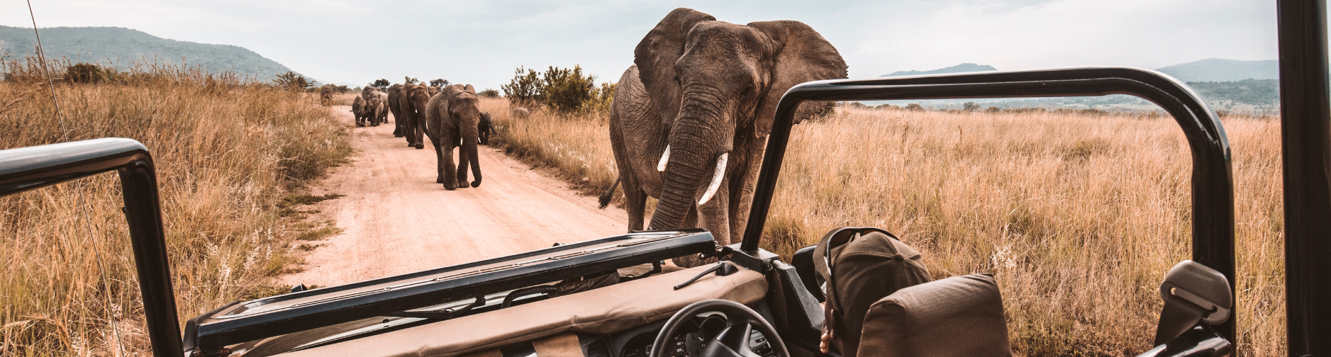African Travel Header 1 2025
