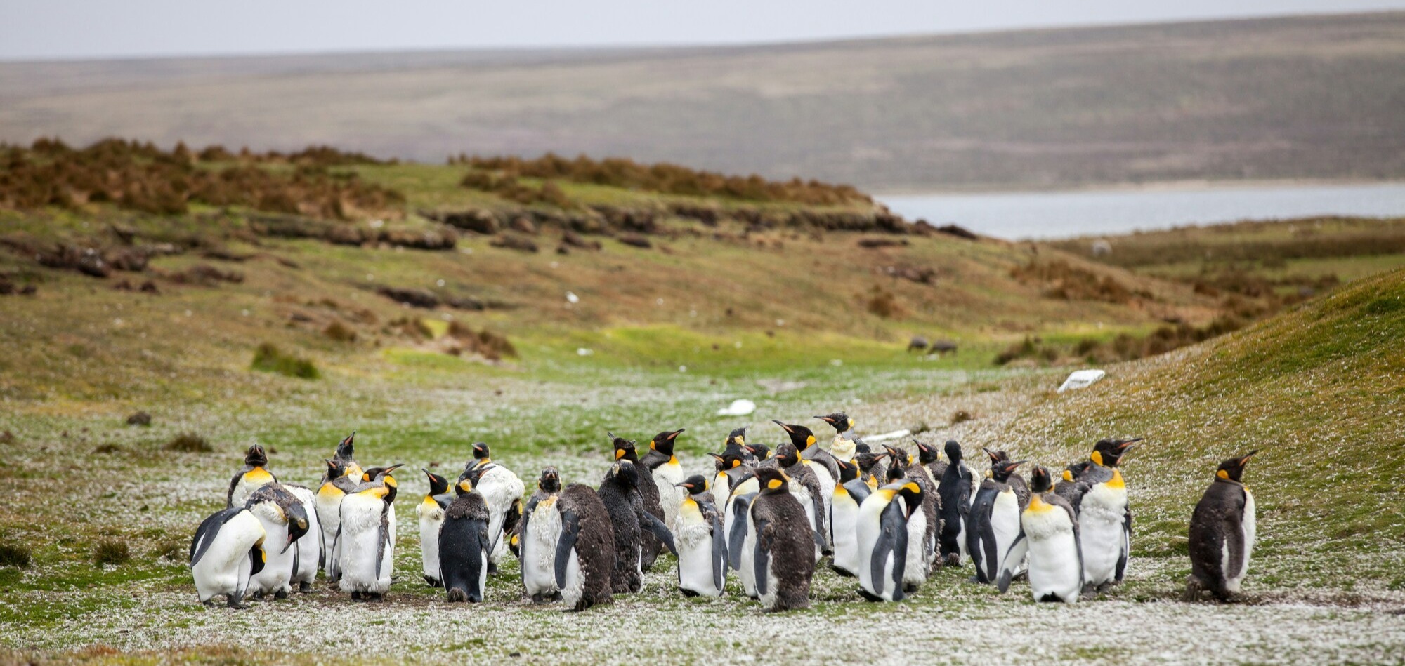 yuriy-rzhemovskiy-qFxS5FkUSAQ-unsplash-1